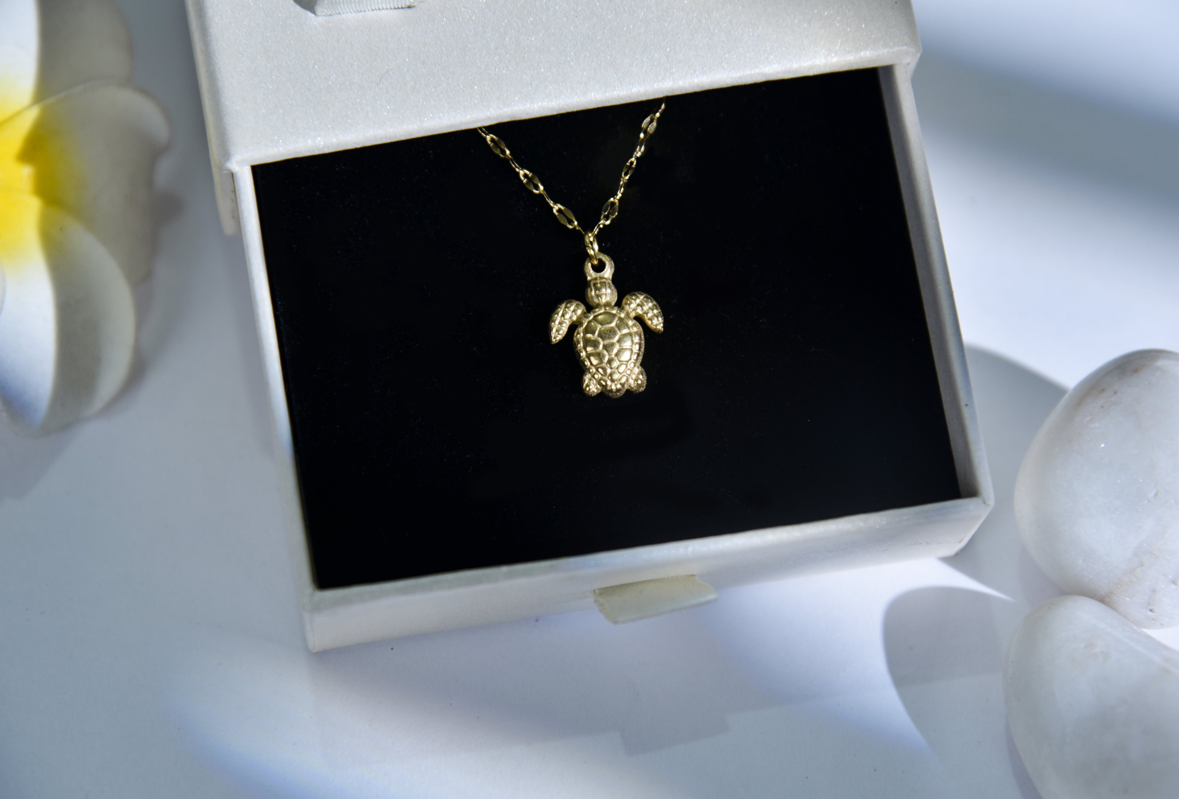 Turtle Trail Pendant